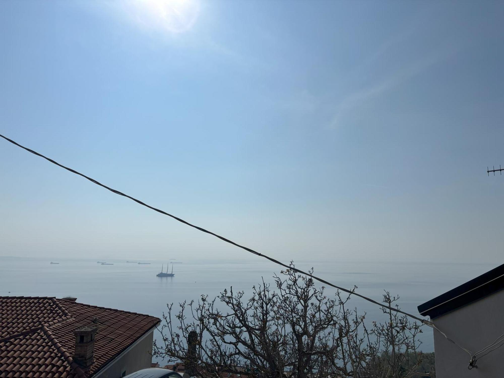 Affitto Turistico Via Bonomea 219-1 Lejlighed Trieste Eksteriør billede